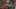 Green Bay Packers, Matt LaFleur Green Bay Packers, Matt LaFleur