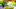 Wii U Games Wii U Games