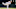 Tommy Gilligan-USA TODAY Sports Tommy Gilligan-USA TODAY Sports