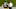 Green Bay Packers Green Bay Packers