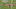ware-2-gif ware-2-gif