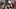 2021 NFL Season