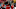 Toronto FC Toronto FC