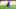 Leicester City