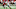 Alabama Football