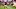 Arizona Cardinals, NFL Arizona Cardinals, NFL