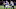 New England Patriots New England Patriots