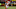 Kansas City Chiefs running back Damien Williams (26) (Photo by Scott Winters/Icon Sportswire via Getty Images) Kansas City Chiefs running back Damien Williams (26) (Photo by Scott Winters/Icon Sportswire via Getty Images)