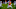 Buffalo Bills Buffalo Bills