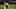 MINNEAPOLIS, MN – OCTOBER 30: Safety Rodney Harrison #37 of the New England Patriots rests on the field during the game against the Minnesota Vikings on October 30, 2006 at the Metrodome in Minneapolis, Minnesota. The Patriots won 31-7. (Photo by Stephen Dunn/Getty Images)
