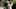 Riviera, Genesis Invitational, PGA Tour, FedEx Cup, Riviera Country Club, Rory McIlroy Riviera, Genesis Invitational, PGA Tour, FedEx Cup, Riviera Country Club, Rory McIlroy