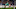 Leicester City Leicester City