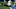 LAWRENCE, KS – NOVEMBER 19: Wide receiver Collin Johnson #9 of the Texas Longhorns reaches out but can’t hold onto a pass against the Kansas Jayhawks in the second quarter at Memorial Stadium on November 19, 2016 in Lawrence, Kansas. (Photo by Ed Zurga/Getty Images) LAWRENCE, KS – NOVEMBER 19: Wide receiver Collin Johnson #9 of the Texas Longhorns reaches out but can’t hold onto a pass against the Kansas Jayhawks in the second quarter at Memorial Stadium on November 19, 2016 in Lawrence, Kansas. (Photo by Ed Zurga/Getty Images)