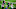 DeAndre Hopkins, Cardinals DeAndre Hopkins, Cardinals