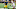 Michigan football Michigan football