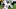 Robert Griffin III, Baltimore Ravens Robert Griffin III, Baltimore Ravens