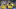 ARNHEM – Riechedly Bazoer of Vitesse during the UEFA Conference League play-offs match between Vitesse Arnhem and RSC Anderlecht at the Gelredome on August 26, 2021 in Arnhem, Netherlands. ANP GERRIT VAN COLOGNE (Photo by ANP Sport via Getty Images) ARNHEM – Riechedly Bazoer of Vitesse during the UEFA Conference League play-offs match between Vitesse Arnhem and RSC Anderlecht at the Gelredome on August 26, 2021 in Arnhem, Netherlands. ANP GERRIT VAN COLOGNE (Photo by ANP Sport via Getty Images)