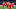 Bayern Munich players celebrating a goal against Hertha BSC Bayern Munich players celebrating a goal against Hertha BSC