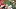 gif-of-the-week gif-of-the-week
