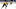 chris wagner bruins chris wagner bruins