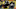 Ray-Ray McCloud, Pittsburgh Steelers