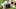 Georgia Football Georgia Football