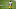 CLEVELAND, OHIO – JANUARY 03: Cameron Sutton #20 of the Pittsburgh Steelers looks on before the game against the Cleveland Browns at FirstEnergy Stadium on January 03, 2021 in Cleveland, Ohio. (Photo by Nic Antaya/Getty Images) CLEVELAND, OHIO – JANUARY 03: Cameron Sutton #20 of the Pittsburgh Steelers looks on before the game against the Cleveland Browns at FirstEnergy Stadium on January 03, 2021 in Cleveland, Ohio. (Photo by Nic Antaya/Getty Images)