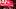 Nick Bosa, SF 49ers