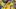 Dortmund’s Portuguese defender Raphael Guerreiro celebrates scoring the 2-0 goal with his team-mates during the UEFA Champions League Group G football match BVB Borussia Dortmund v FC Copenhagen in Dortmund, western Germany, on September 6, 2022. – – DFB REGULATIONS PROHIBIT ANY USE OF PHOTOGRAPHS AS IMAGE SEQUENCES AND QUASI-VIDEO. ALTERNATIVE CROP (Photo by UWE KRAFT / AFP) / DFB REGULATIONS PROHIBIT ANY USE OF PHOTOGRAPHS AS IMAGE SEQUENCES AND QUASI-VIDEO. ALTERNATIVE CROP (Photo by UWE KRAFT/AFP via Getty Images)