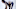 Toronto Maple Leafs Toronto Maple Leafs