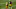 Green Bay Packers Green Bay Packers
