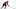 new jersey devils new jersey devils