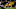 PITTSBURGH, PA – DECEMBER 10: Le’Veon Bell #26 of the Pittsburgh Steelers avoids a tackle by C.J. Mosley #57 of the Baltimore Ravens as he runs into the end zone after a catch for a 20 yard touchdown reception in the first quarter during the game at Heinz Field on December 10, 2017 in Pittsburgh, Pennsylvania. (Photo by Justin K. Aller/Getty Images) PITTSBURGH, PA – DECEMBER 10: Le’Veon Bell #26 of the Pittsburgh Steelers avoids a tackle by C.J. Mosley #57 of the Baltimore Ravens as he runs into the end zone after a catch for a 20 yard touchdown reception in the first quarter during the game at Heinz Field on December 10, 2017 in Pittsburgh, Pennsylvania. (Photo by Justin K. Aller/Getty Images)