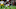 PHOENIX, AZ – DECEMBER 08: Chandler Jones #55 of the Arizona Cardinals in action during the game against the Pittsburgh Steelers at State Farm Stadium on December 8, 2019 in Glendale, Arizona. The Steelers defeated the Cardinals 23-17. (Photo by Rob Leiter via Getty Images) PHOENIX, AZ – DECEMBER 08: Chandler Jones #55 of the Arizona Cardinals in action during the game against the Pittsburgh Steelers at State Farm Stadium on December 8, 2019 in Glendale, Arizona. The Steelers defeated the Cardinals 23-17. (Photo by Rob Leiter via Getty Images)