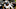 STATE COLLEGE, PA – NOVEMBER 29: DaeSean Hamilton STATE COLLEGE, PA – NOVEMBER 29: DaeSean Hamilton