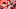Patrick Mahomes, Chicago Bears Patrick Mahomes, Chicago Bears