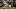 Chicago Bears Leonard Floyd Chicago Bears Leonard Floyd