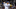 New York Yankees New York Yankees
