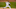 DraftKings DraftKings