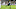 college football college football