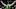 Boston Celtics Boston Celtics