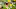 New York Jets Trade Targets New York Jets Trade Targets