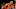 CAIRNS, AUSTRALIA – DECEMBER 29: Travis Trice of the Taipans drives to the basket during the round 13 NBL match between Cairns and Melbourne on December 29, 2016 in Cairns, Australia. (Photo by Ian Hitchcock/Getty Images) CAIRNS, AUSTRALIA – DECEMBER 29: Travis Trice of the Taipans drives to the basket during the round 13 NBL match between Cairns and Melbourne on December 29, 2016 in Cairns, Australia. (Photo by Ian Hitchcock/Getty Images)