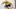 Nashville Predators Nashville Predators