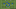 Spurs - Football tactics and formations