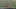 GIF via Zombie Prophet (@ZProphet_MMA) GIF via Zombie Prophet (@ZProphet_MMA)