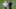 PGA: Farmers Insurance Open-First Round PGA: Farmers Insurance Open-First Round