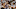 SALT LAKE CITY, UT – APRIL 28: Gordon Hayward SALT LAKE CITY, UT – APRIL 28: Gordon Hayward