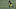 JuJu Smith-Schuster, NFL Free Agency JuJu Smith-Schuster, NFL Free Agency