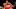 (Photo by Steven Ryan/Getty Images) – Washington Wizards (Photo by Steven Ryan/Getty Images) – Washington Wizards